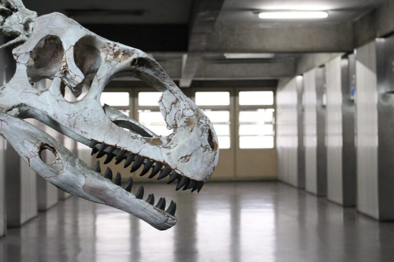 Vědci objevili nový druh pravěkého dinosaura na území dnešní Evropy