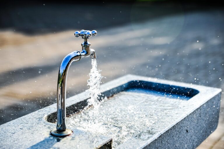 Vodohospodáři zintenzivňují opatření proti úhynu ryb na Dyji