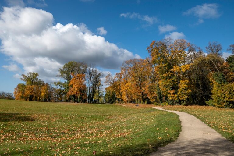 Objevte krásu českých přírodních parků