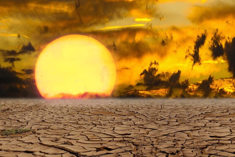 Evropa očekává extrémní vedra: Teploty by mohly překročit 40 °C