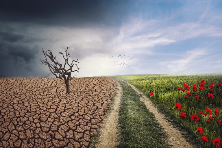 Klimatické změny nám kradou spánek: Mění se noční teploty po celém světě